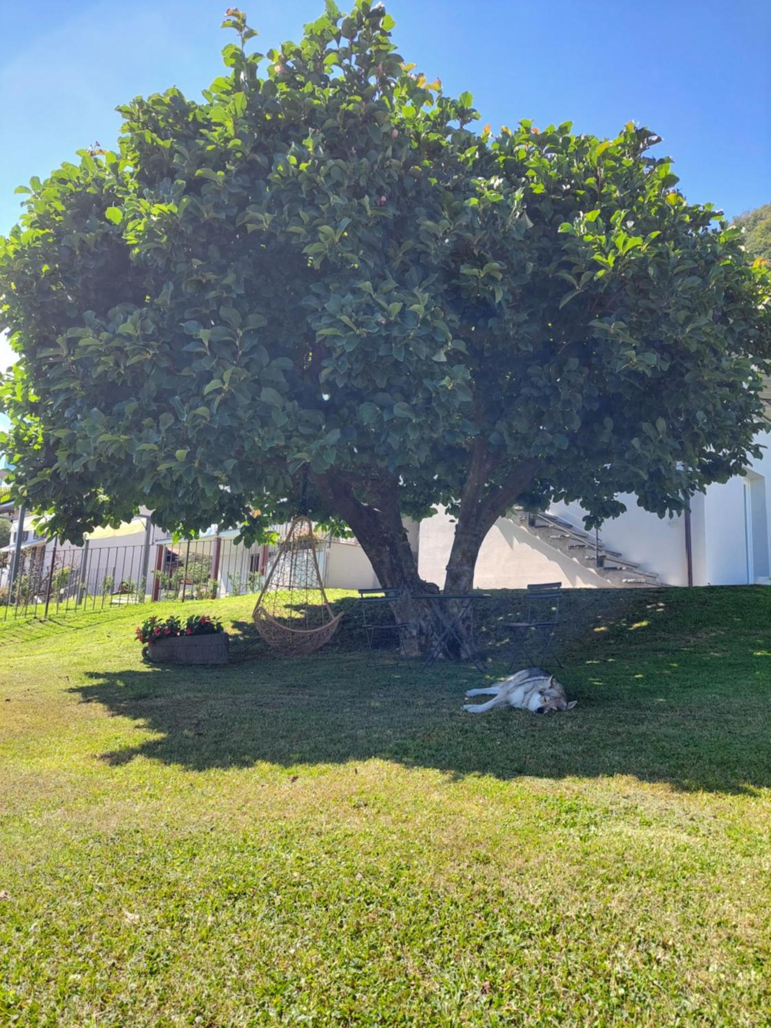 דומאסו Casa Vacanze Perla Del Lago מראה חיצוני תמונה